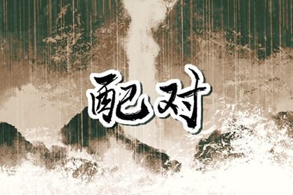 流年合婚：动态视角